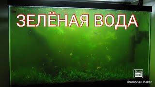 Зелёная вода в аквариуме. Причины и способы устранения.