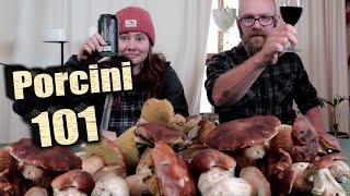 How to find EPIC amounts of Porcini Mushrooms (Penny Bun)