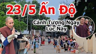 Sự Minh Tuệ mới nhất sáng hôm nay 23/5 tại Ấn Độ MN dẫn sư lạ đến
