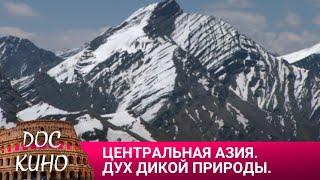 ЦЕНТРАЛЬНАЯ АЗИЯ. ДУХ ДИКОЙ ПРИРОДЫ.  ДОКУМЕНТАЛЬНОЕ КИНО  2023