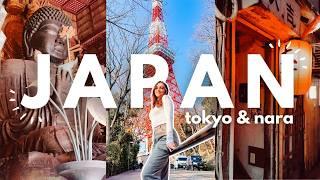 Travel With Me To Japan!  top sights in Tokyo, feeding deer in Nara, mountain burning festival!