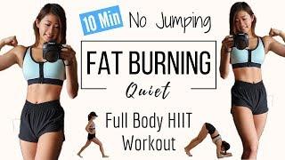 10 min No Jumping Full Body Fat Burning HIIT Workout | QUIET CARDIO (Beginner & Apartment Friendly)