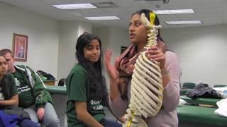 Osteopathic Medical Scholar's Program (OMSP)