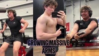 Guide to Growing Arms your Girl cant Resist