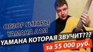 Гитара ЯМАХА которая звучит??? Обзор гитары YAMAHA A1M с реальным отзывом!