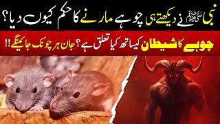 Did Prophet Muhammad ﷺ Order the Killing of Rats? Discover the Truth | Islamic Teacher