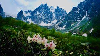 ПРОКЛАДЫВАЯ НОВЫЕ ТРОПЫ. КУРМЫЧИ. Июнь 2022г.