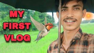 my first vlog||my first vlog on youtube 2024||@Vivek-darbhanga-vlog