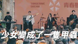 吾橋有水 FloodingBridge【少女變成了一隻甲蟲 DEMO】| 大港開唱 Megaport Festival 2021：青春夢演出紀錄