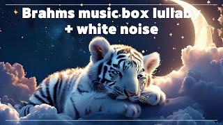 Brahms lullaby + white noise to help the baby tiger fall asleep in 3 minutes 