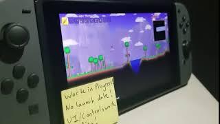 Brief Look at Terraria on the Nintendo Switch *Work in Progress*