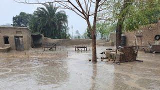 Rain In Punjab | Village Life | Rainy Season In Pakistan