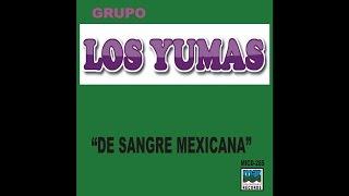 Los Yumas - De sangre mexicana