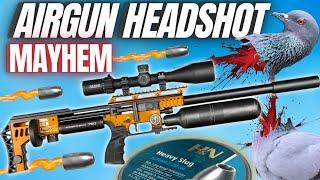 Fx Impact M4 Headshot Mayhem I Airgun Hunting with Fx M4