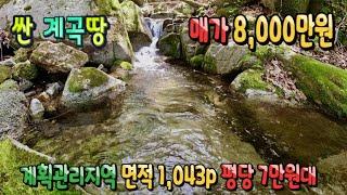 강원도 횡성부동산 싼계곡땅 횡성토지매매 [강원도 횡성군 청일면부동산] #횡성군토지매매