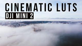 DJI Mini 2 LUTs - Cinematic LUTs