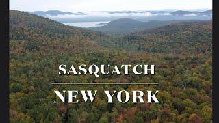 Sasquatch: New York