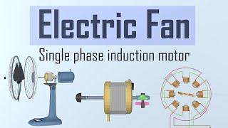 How does a fan work ? | Single phase induction motor