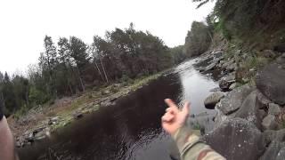 Mongaup River Below Rio