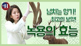 만성피로를 이기는 최고의 보양 + 보혈 약재! 보약의 대표주자 녹용의 효능