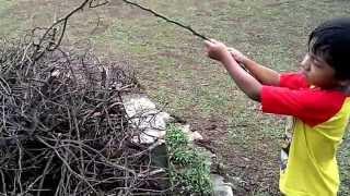 My Camping Story 1