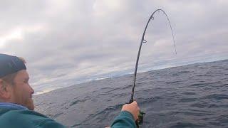 Dropping Baits 100m, Catch & Cook | Portland, Victoria