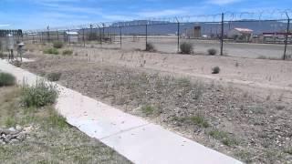 Short video of Locust invasion at NWS-Albuquerque office June 2nd 2014