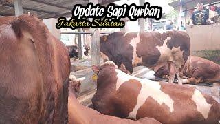 Sapi Qurban SuperReady 120 Ekor Siap Booking Gratis Perawatan Dan Ongkir | Berkah mandiri Farm