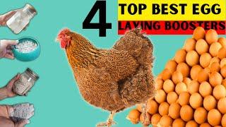 4 BEST ORGANIC EGG LAYING BOOSTERS