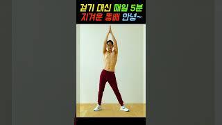 효과보장중년 허리살 뱃살 빼는 최고의 운동 Standing Belly Fat burning 임피티 IMPT DIET