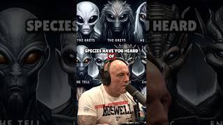 The Truth About Alien Species – Greys, Tall Whites, Reptilians & More - Joe Rogan Experience