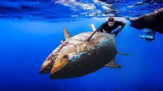 300kg+ MONSTER im Mittelmeer gefangen!