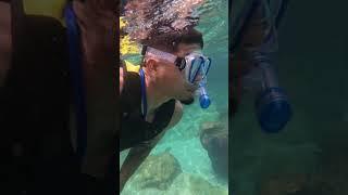 Mom dad and son go snorkeling for the first time #shorts