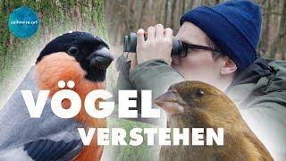 VÖGEL bestimmen (Tipps & Tricks) | Zeitweise Naturfotografie