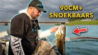 Wij vangen MEGA SNOEKBAARS tijdens 5 SOORTEN CHALLENGE!