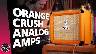 Why CRUSH Should be Your First ANALOG Amp