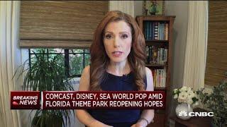 Comcast, Disney, SeaWorld pop amid Florida theme park reopening hopes