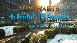 Hogwarts Grounds in Winter: Music & Cinematic Ambience | Hogwarts Legacy