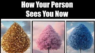 How Your Person Sees You Now  Pick A Card Timeless Psychic Reading