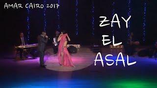 벨리댄스/공연 2017 Amar Cairo Yasmin with live band - Zay el asal