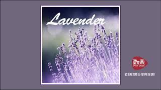 一個人時光~讀書上班音樂 -  薰衣草—等待愛情 Lavender