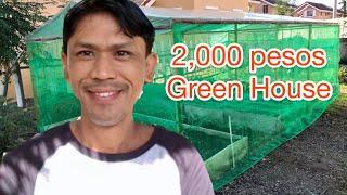 Pinoy Improvise Green House na Pang low- budget pero Termite Proof.