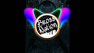 Bross Nation - Vince Johnson - Neon