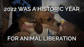 2022 Was a Historic Year for Animal Liberation