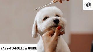 How to Start a Pet Grooming Business