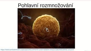 Rozmnožování rostlin pro 1 A