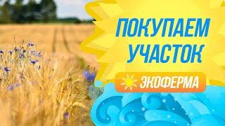 Покупаем участок для фермы. Какой, где, за сколько?