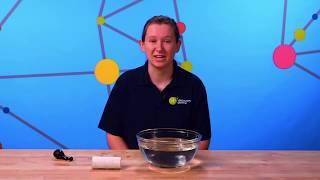 BiteSize Science- Swimming Bladder