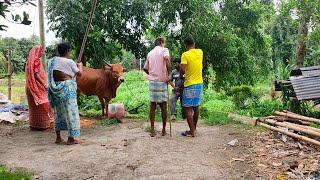 আজ সোমনাথ বিক্রি করে দিলাম কষ্ট লাগছে