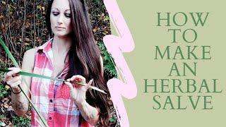 HOW TO MAKE AN HERBAL SALVE #HERBALREMEDIES #PLANTMEDICINES #FORAGING